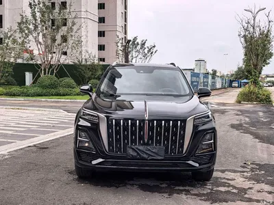 2023 Hongqi HS5 2.0T Flag Enjoy Pro Edition, фото 3, лот 11222307