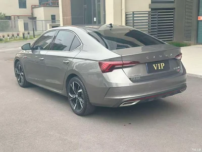 2021 Škoda Octavia PRO TSI280 DSG Luxury Edition, фото 3, лот 11565935