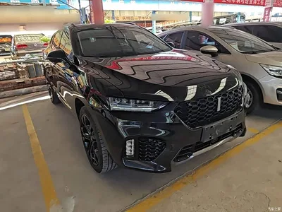 2017 WEY VV7 2.0T Flagship, фото 4, лот 10452204
