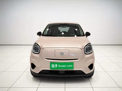 2021 Leapmotor T03 400 Micro Sugar Edition, фото 2, лот 10783374
