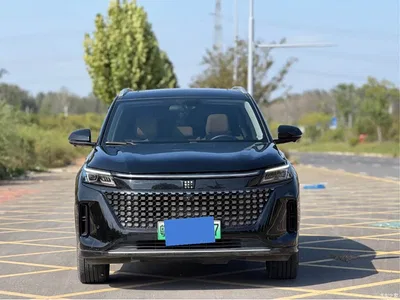 2024 Landian E5 Glory Edition 100KM Premium Type 7-Seater, фото 2, лот 11642562