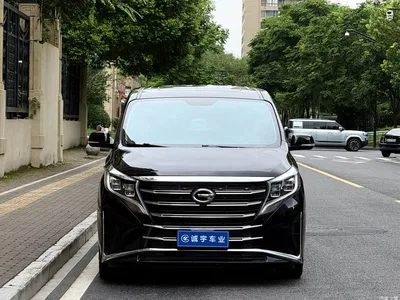 2021 GAC Trumpchi Trumpchi M8 Leading Show Series 390T Premium Edition, фото 2, лот 10839065
