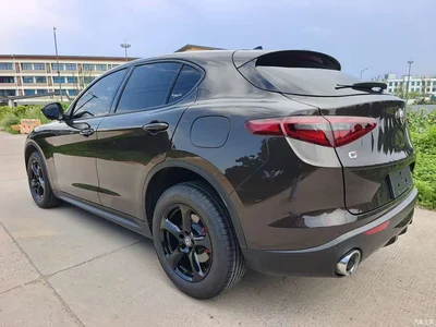 2017 Alfa Romeo Stelvio 2.0T 200HP Elite, фото 4, лот 10239852