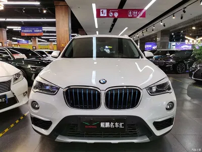2019 BMW X1 New Energy xDrive25Le Range Upgrade Edition, фото 2, лот 11244049