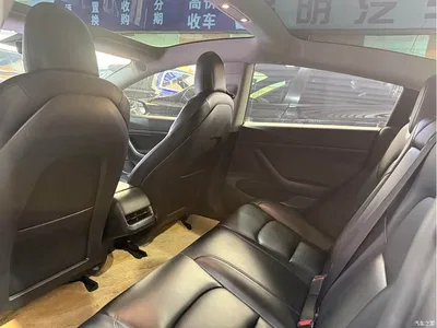 2020 Tesla Model 3 Standard Range Rear-Wheel Drive Upgrade, фото 3, лот 10666526