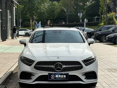 2021 Mercedes-Benz CLS 300 Luxury, фото 2, лот 10954830