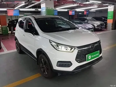 2019 BYD Yuan New Energy EV535 Smart Connected Trend Leader Type, фото 4, лот 10390006