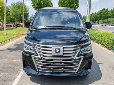 2025 Dongfeng Lingzhi New Energy 110km EREV Basic 5-seater, фото 2, лот 11159149