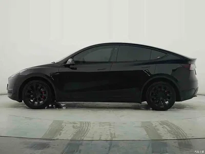 2021 Tesla Model Y Standard Range Rear-Wheel Drive, фото 1, лот 11223601