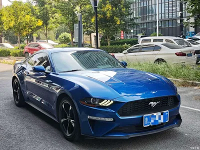 2019 Ford Mustang 2.3L EcoBoost, фото 3, лот 10675501