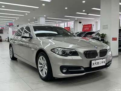 2014 BMW 5 Series 520Li Elegance, фото 3, лот 11188369