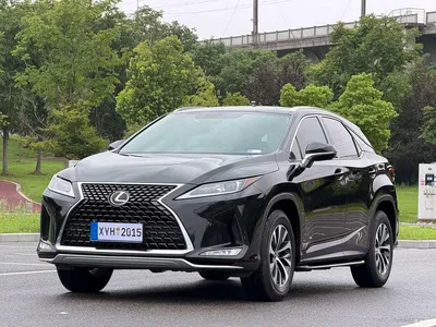 2020 Lexus RX Facelift 300 2WD Elite Edition, фото 1, лот 10436937