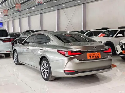 2018 Lexus ES 200 Excellence Edition (China VI), фото 4, лот 10312582