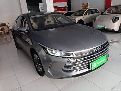 2024 BYD Destroyer 05 Glory Edition DM-i 55KM Luxury, фото 4, лот 10267746