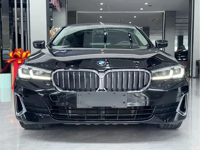 2020 BMW 5 Series 530Li Leading Luxury Package, фото 2, лот 11570125