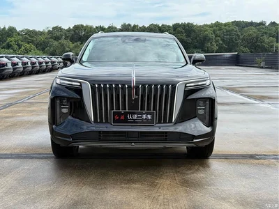 2022 Hongqi E-HS9 690km Qi Xiang Edition (6-seater), фото 2, лот 10286875