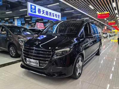 2024 Mercedes-Benz V-Class V 300 L Long Wheelbase Luxury Edition, фото 1, лот 11095908