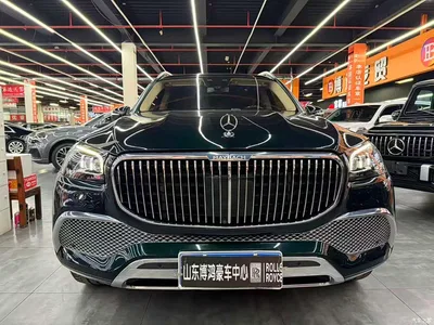 2022 Mercedes-Benz Maybach GLS GLS 480 4MATIC, фото 2, лот 11564478