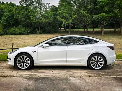 2019 Tesla Model 3 Standard Range Rear-Wheel Drive Upgrade, фото 2, лот 10398950