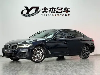 2022 BMW 5 Series Model Third Facelift 530Li Premium M Sport Package, фото 1, лот 11088967