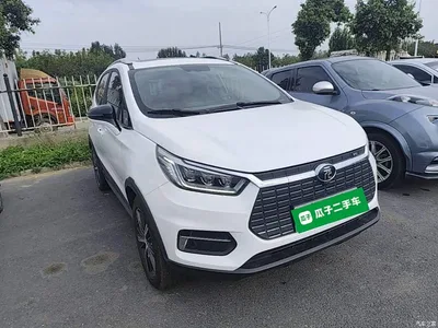 2019 BYD Yuan New Energy EV535 High Energy Navigation Edition, фото 4, лот 10390264