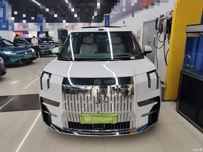 2024 ZEEKR 009 7-Seat Aisle Version 108kWh, фото 3, лот 10890367