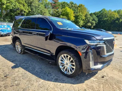 2024 CADILLAC ESCALADE PREMIUM LUXURY, фото 4, лот 11237905