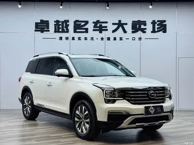 2017 GAC Trumpchi Trumpchi GS8 320T 2WD Luxury Smart Connect (7-seater), фото 3, лот 10415229