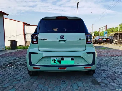 2023 Sehol Flower Fairy Anniversary 301km Four-Leaf Clover 36kW, фото 4, лот 11164999