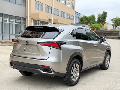 2020 Lexus NX 200 FWD Fengyi Edition China VI, фото 4, лот 10312885