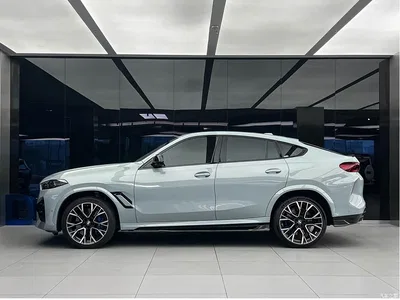 2023 BMW X6 M Model X6 M Thunder Edition, фото 3, лот 10238480