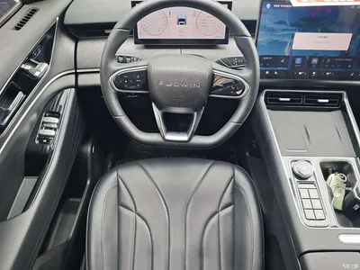 2024 Chery Fengyun T9 120 Long Range Luxury 5-seater NMC, фото 4, лот 10834290