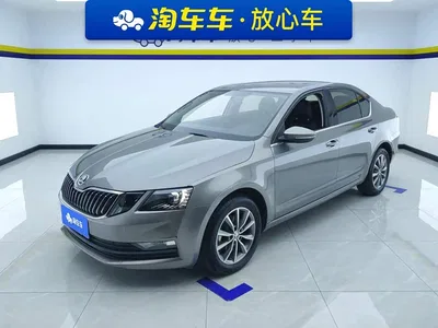 2021 Škoda Octavia 1.5L Automatic Comfort, фото 1, лот 10349350