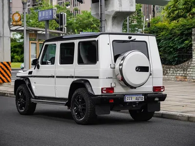 2015 Mercedes G Klasse, фото 3, лот 10246478