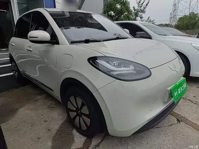 2024 Wuling Motors Wuling Bingo 333km Comfort Edition, фото 4, лот 10371546