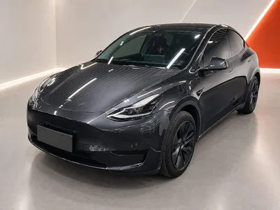 2024 Tesla Model Y Rear-Wheel Drive Version, фото 1, лот 10458426