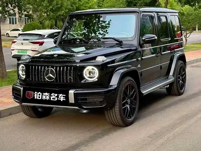 2020 Mercedes-Benz G-Class G 350, фото 1, лот 10295727