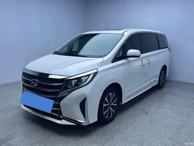 2021 GAC Trumpchi Trumpchi M8 Leading Show Series 390T Premium Edition, фото 1, лот 11249792