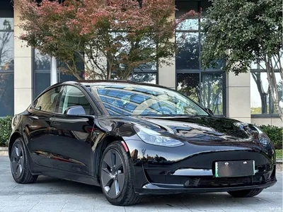 2021 Tesla Model 3 Standard Range Rear-Wheel Drive Upgrade 3D6, фото 3, лот 10358241