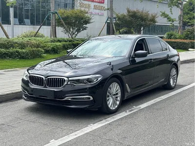 2019 BMW 5 Series New Energy 530Le Luxury Package, фото 1, лот 11249963