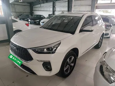 2019 Haval H6 Coupe 1.5T Auto 2WD Elite Version China V, фото 1, лот 11141875