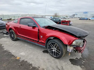 2009 FORD MUSTANG 50TH ANNIVERSARY, фото 4, лот 10559888