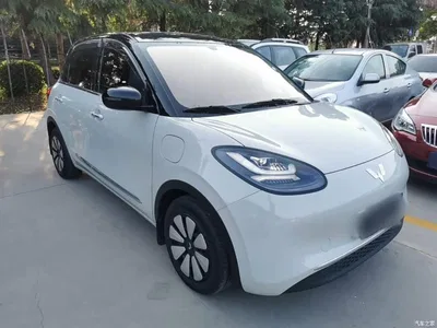 2024 Wuling Motors Wuling Bingo 333km Comfort Edition, фото 4, лот 10371502