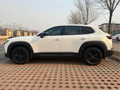 2023 Mazda CX-50 Xingye 2.0L Leading Edition, фото 4, лот 10327295