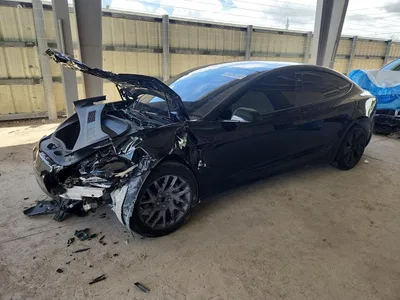 2025 TESLA MODEL 3, фото 1, лот 10853330