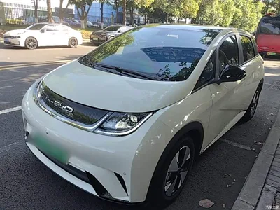 2023 BYD Dolphin 420km Fashion Edition, фото 1, лот 10259862