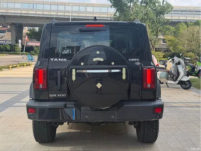 2023 Tank 300 Off-Road Edition 2.0T Conqueror, фото 4, лот 11252973