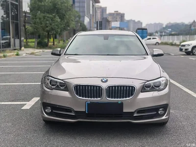 2013 BMW 5 Series 520Li Elegance, фото 2, лот 10954713