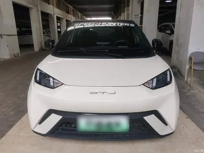 2024 BYD Seagull Glory Edition 305km Vitality Edition, фото 3, лот 11133822
