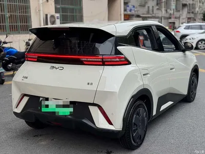 2024 BYD Seagull Glory Edition 305km Vitality Edition, фото 2, лот 10257742